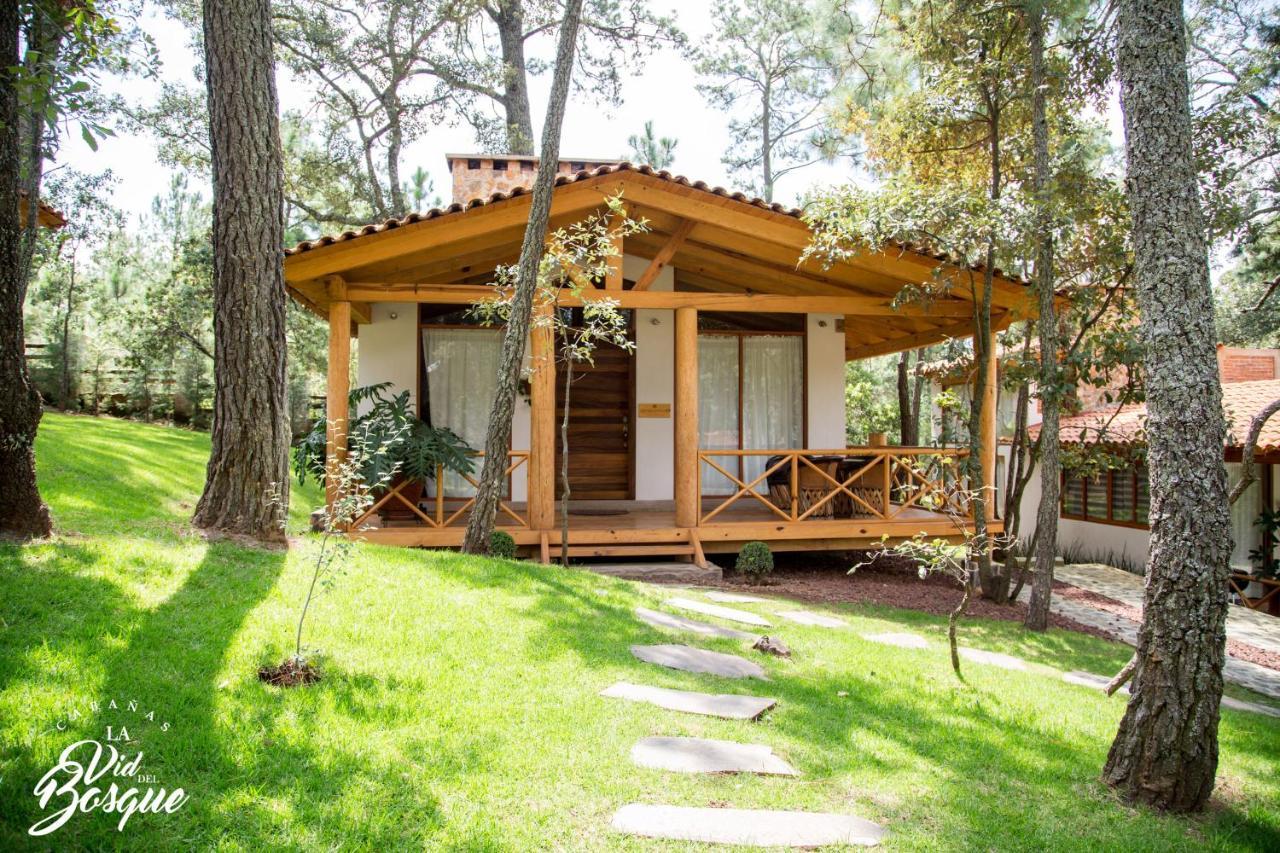 Cabanas La Vid Del Bosque Hotel Tapalpa Exterior photo
