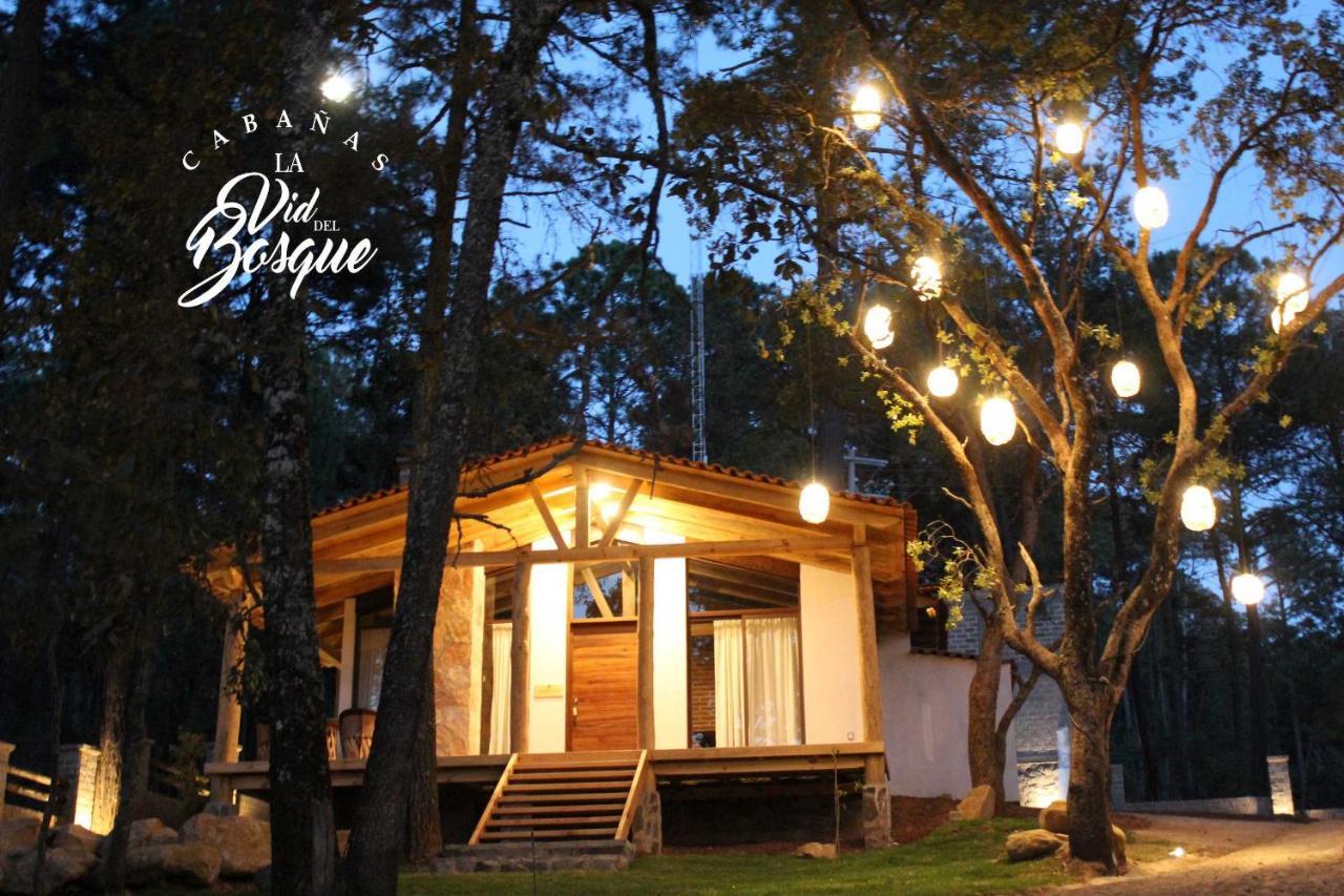 Cabanas La Vid Del Bosque Hotel Tapalpa Exterior photo
