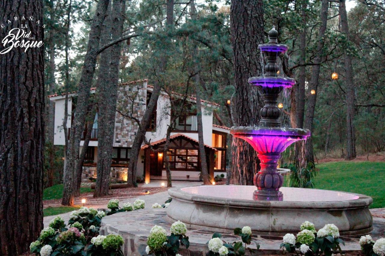 Cabanas La Vid Del Bosque Hotel Tapalpa Exterior photo