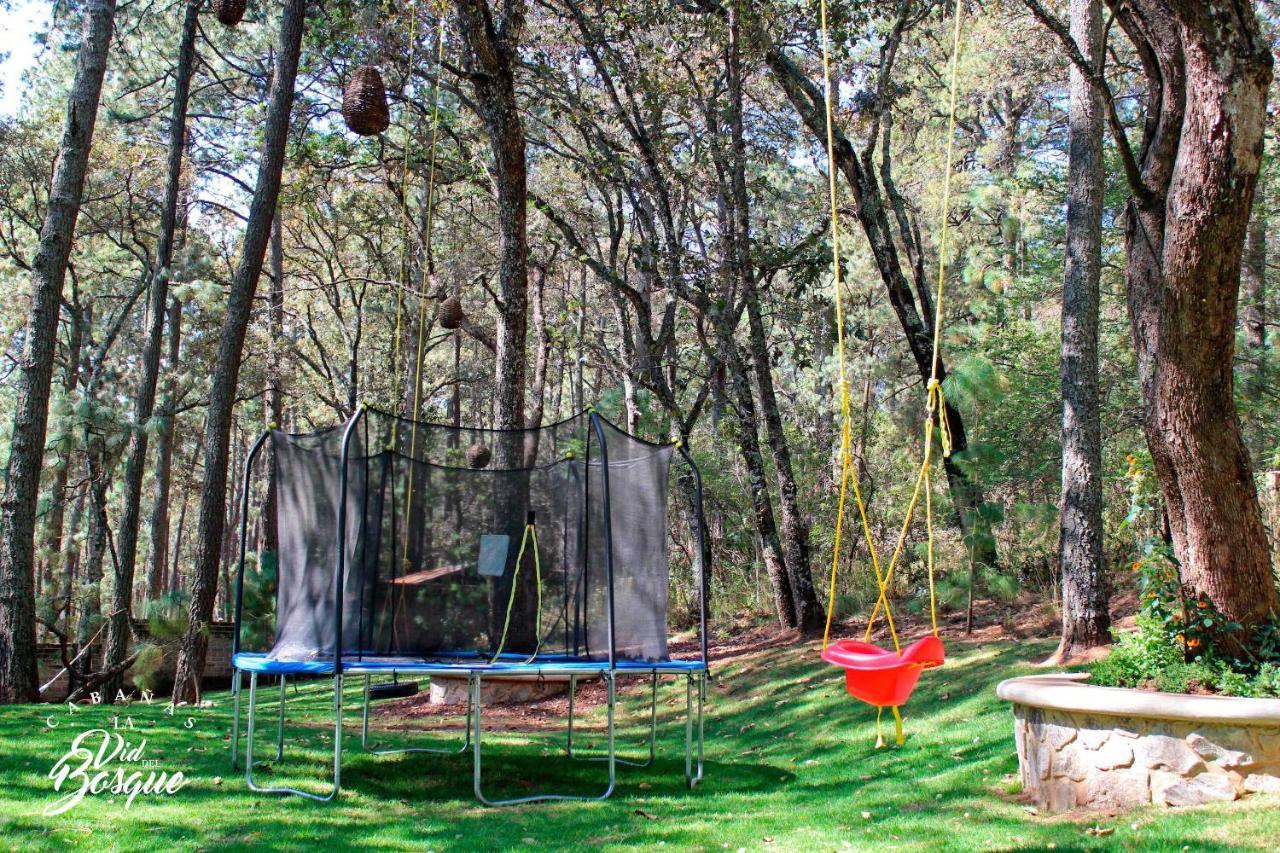 Cabanas La Vid Del Bosque Hotel Tapalpa Exterior photo