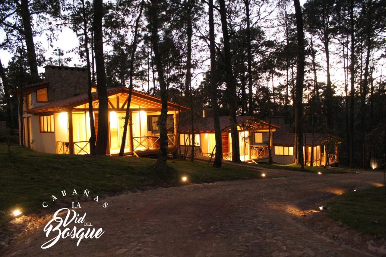 Cabanas La Vid Del Bosque Hotel Tapalpa Exterior photo