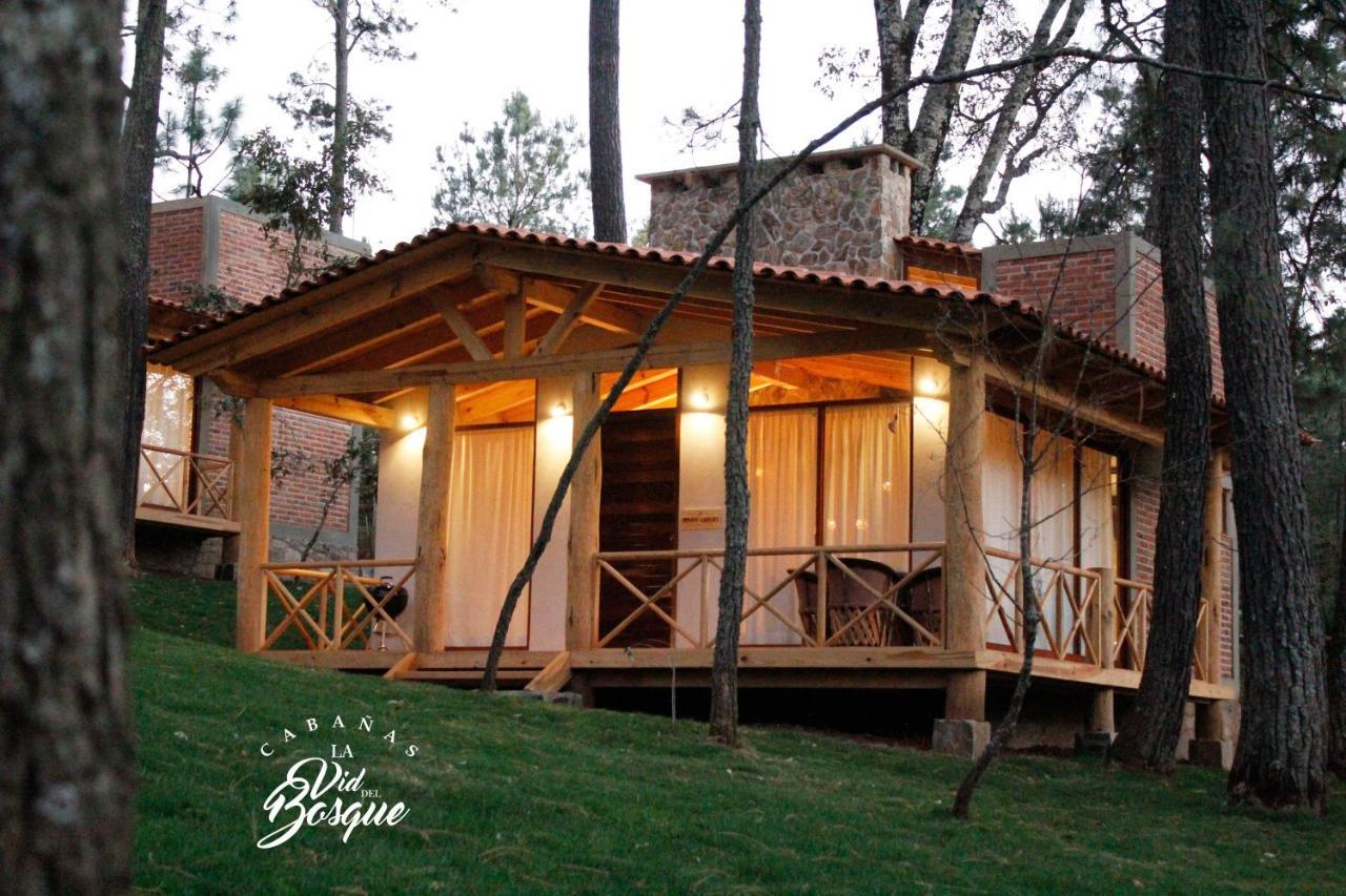 Cabanas La Vid Del Bosque Hotel Tapalpa Exterior photo